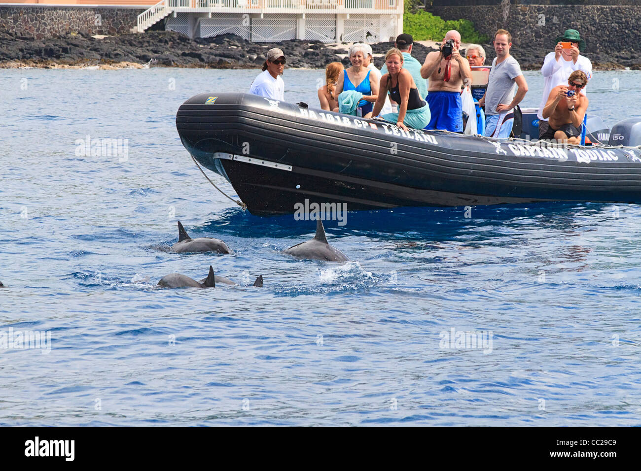 People in Zodiac boat watch spinner dolphins in Kailua Bay off Kona town, Big Island, Hawaii, USA. Stock Photo