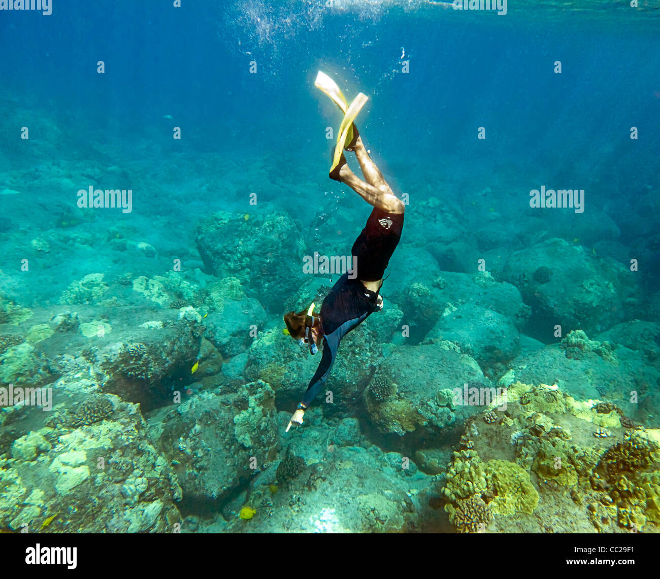Snorkeling in waters of Lanai, Hawaii, USA. Stock Photo