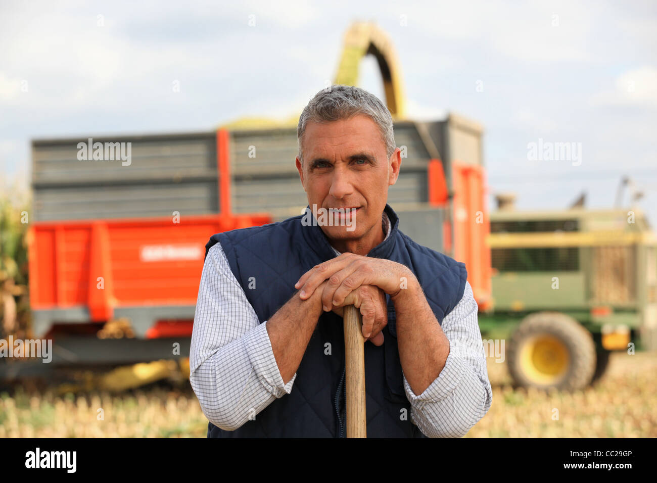 Farmer standing in front of a cattle transport vehicle Stock Photo - Alamy