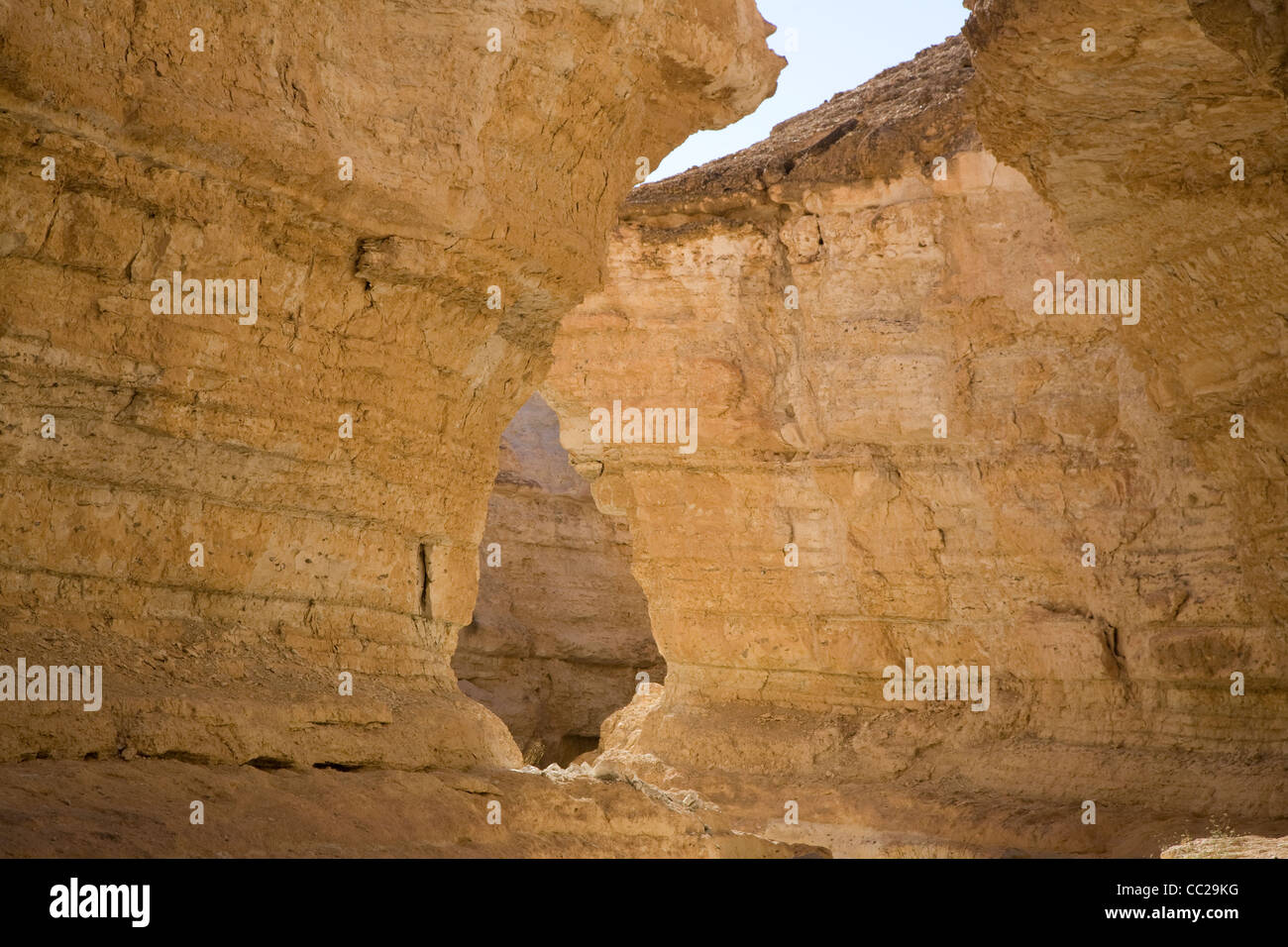 Gorge at Tamerza, Tunisia. Stock Photo
