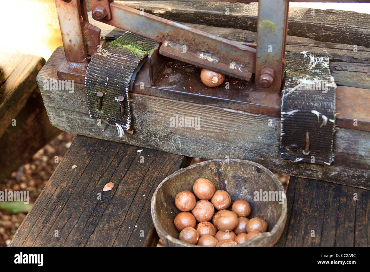 Early tool used to crush & open macadamia nuts. A lever is pulled down