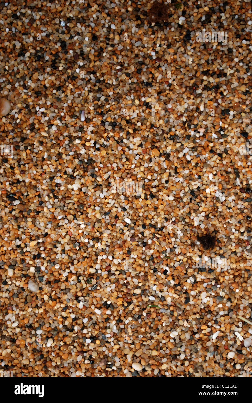 Grain of sand hi-res stock photography and images - Alamy
