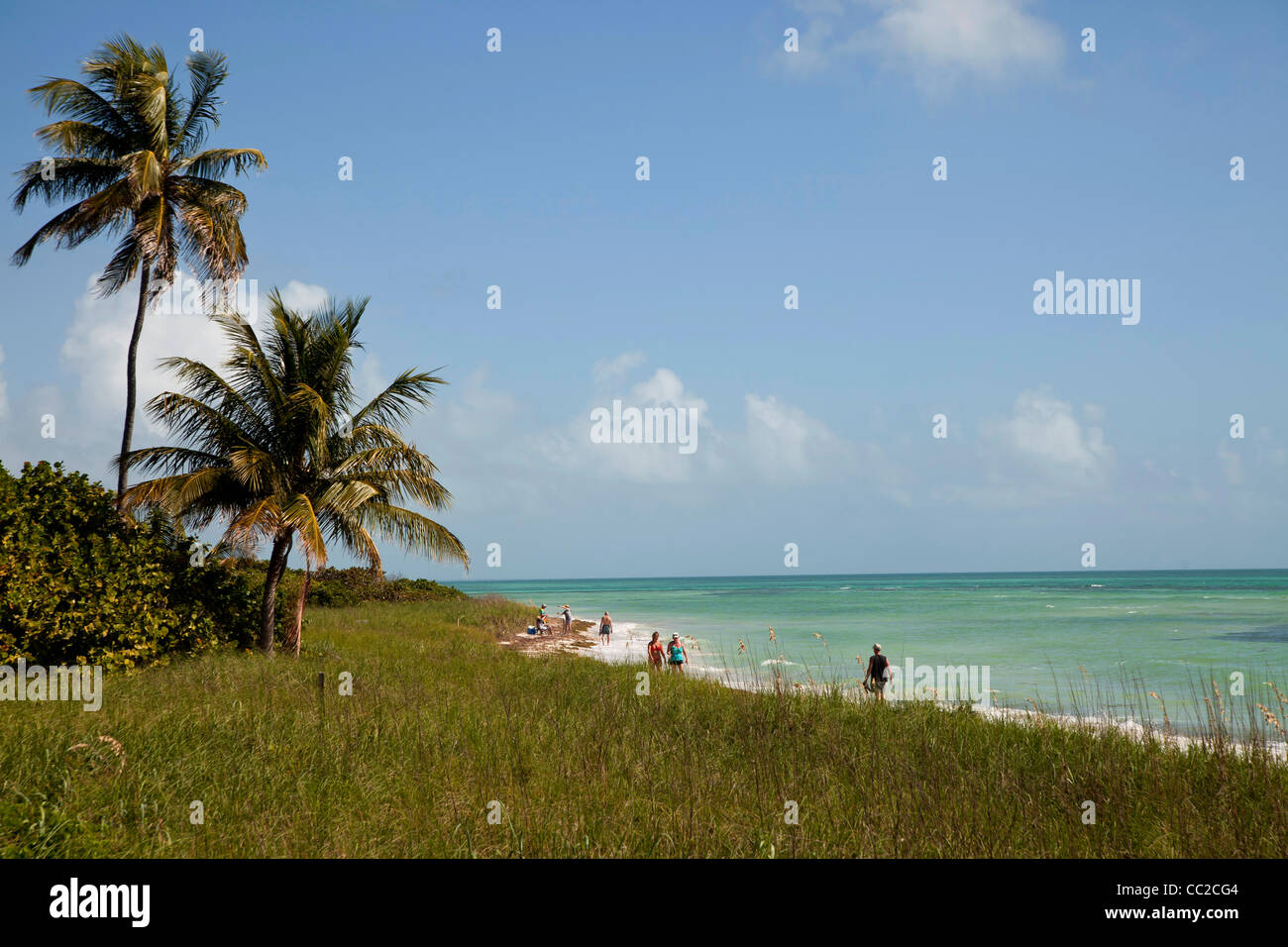 Sandspur Beach, Bahia Honda State Park, Florida Keys, Florida, USA Stock Photo
