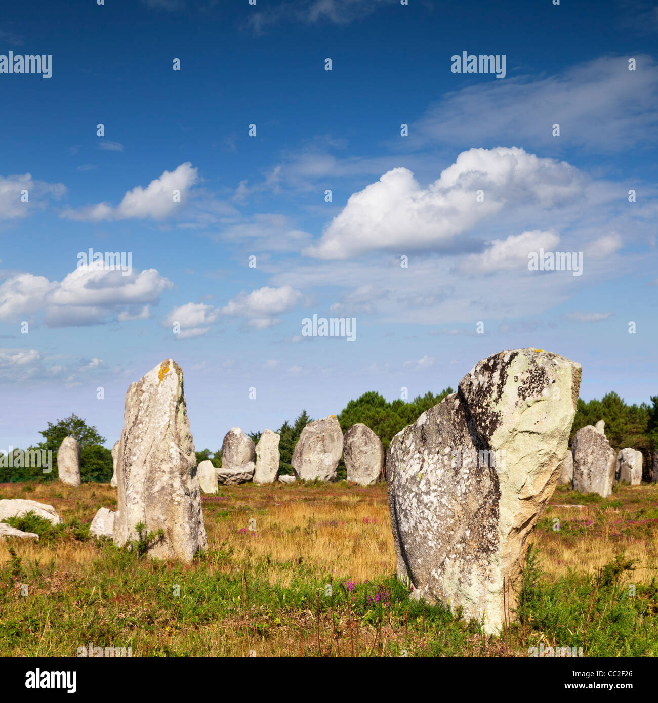 Alignments at Carnac, Brittany, France. Stock Photo