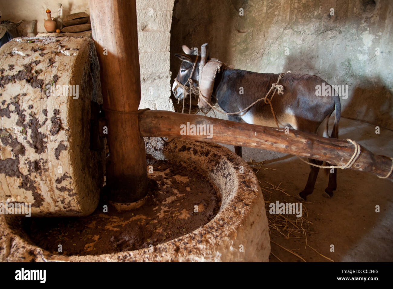 Olive oil press in oil hires stock photography and images Alamy