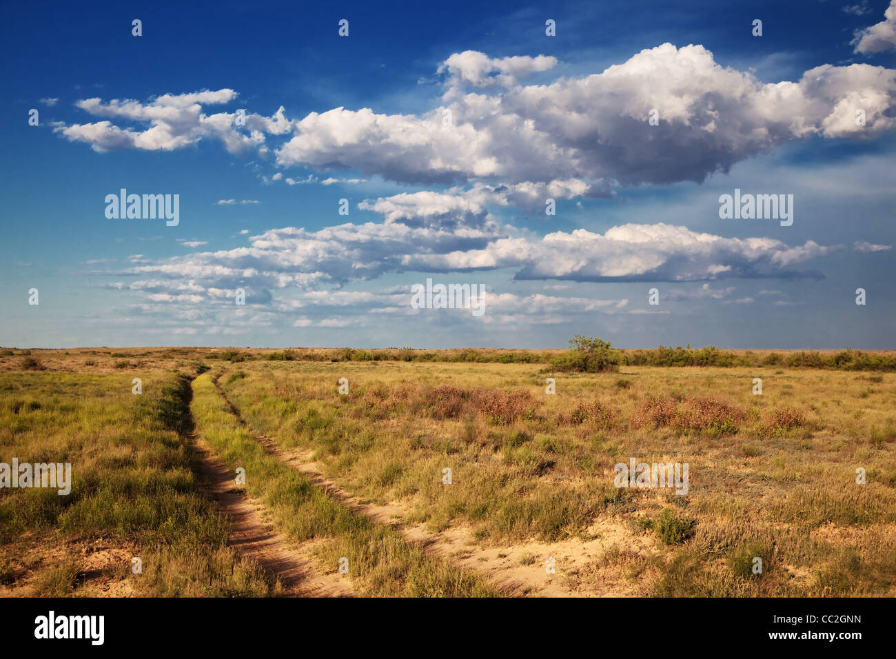 An abandoned road in the desert Stock Photo
