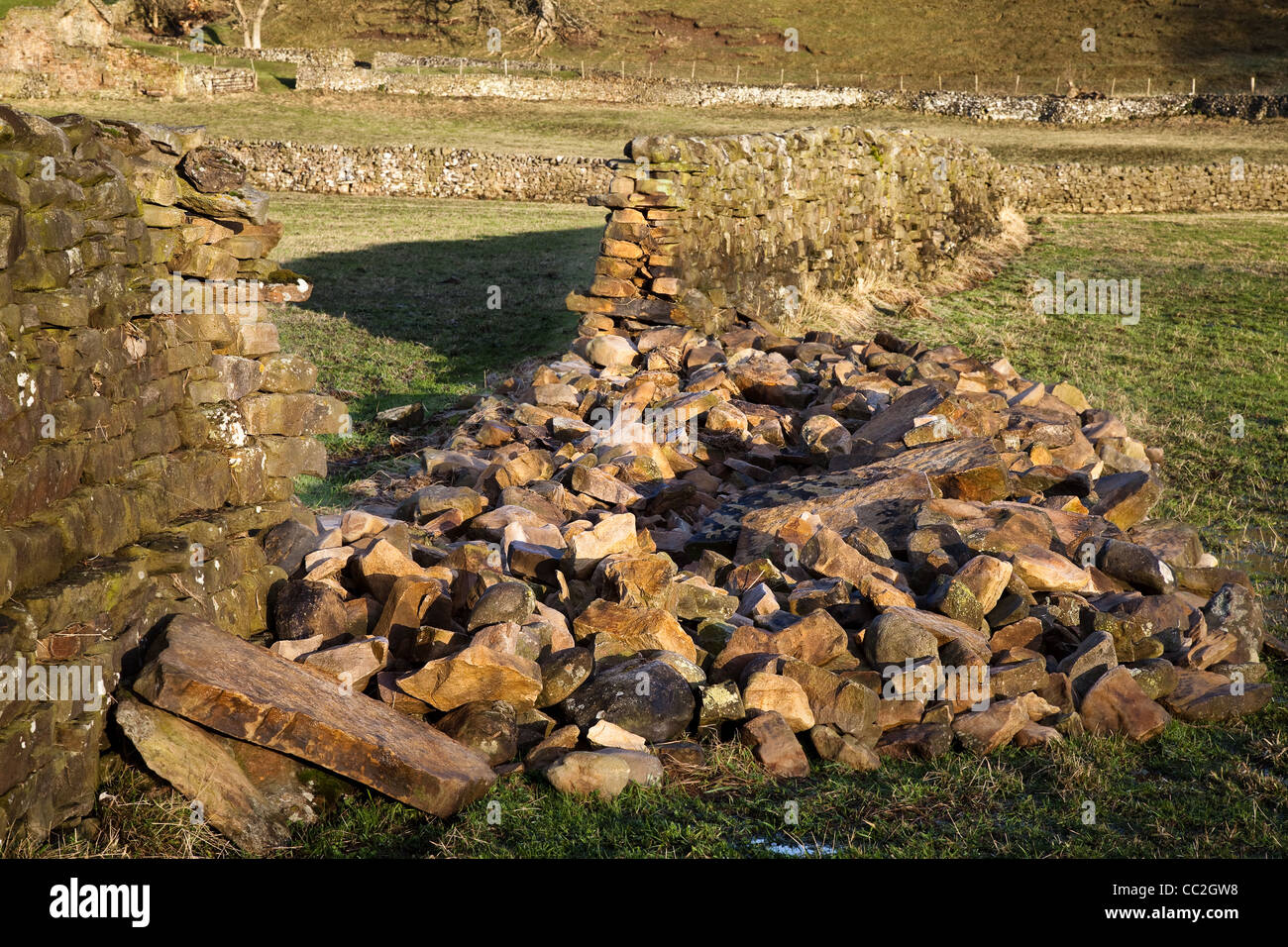 Flood Damaged Wall Limestone Barns in the Landscape and Countryside of Gunnerside, Richmondshire, Yorkshire Dales National Park. Stock Photo