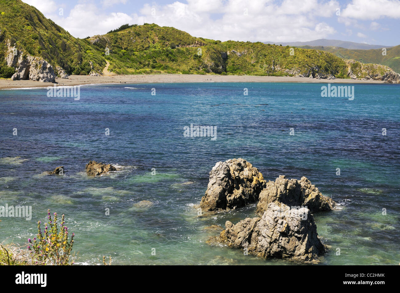 Breaker Bay, Wellington, New Zealand Stock Photo Alamy