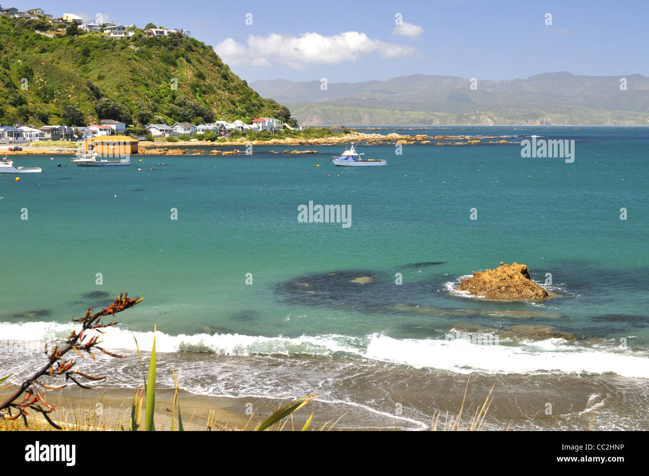 Princess Bay, Wellington, New Zealand Stock Photo Alamy