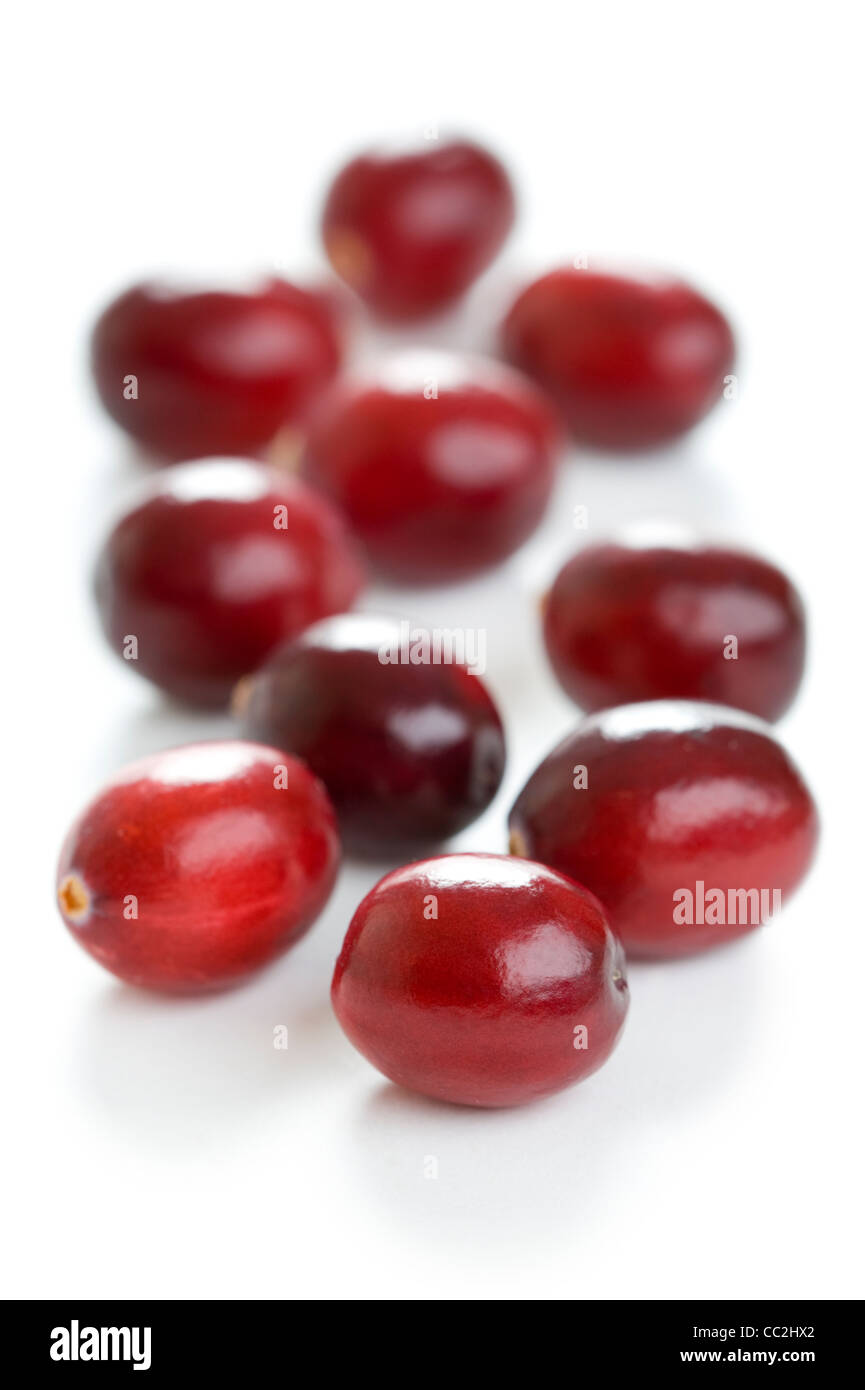 fresh cranberries isolated on a white background Stock Photo