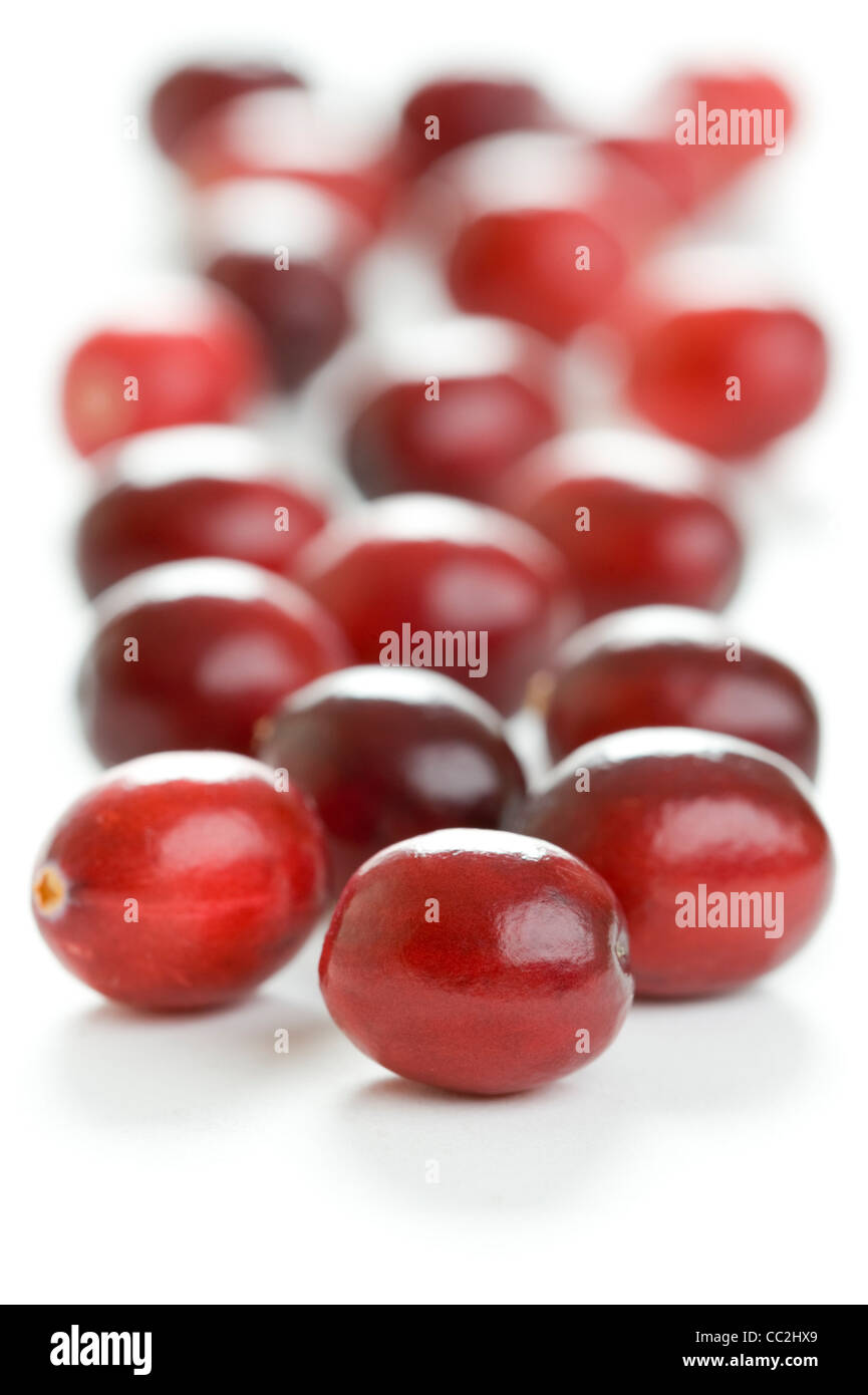fresh cranberries isolated on a white background Stock Photo