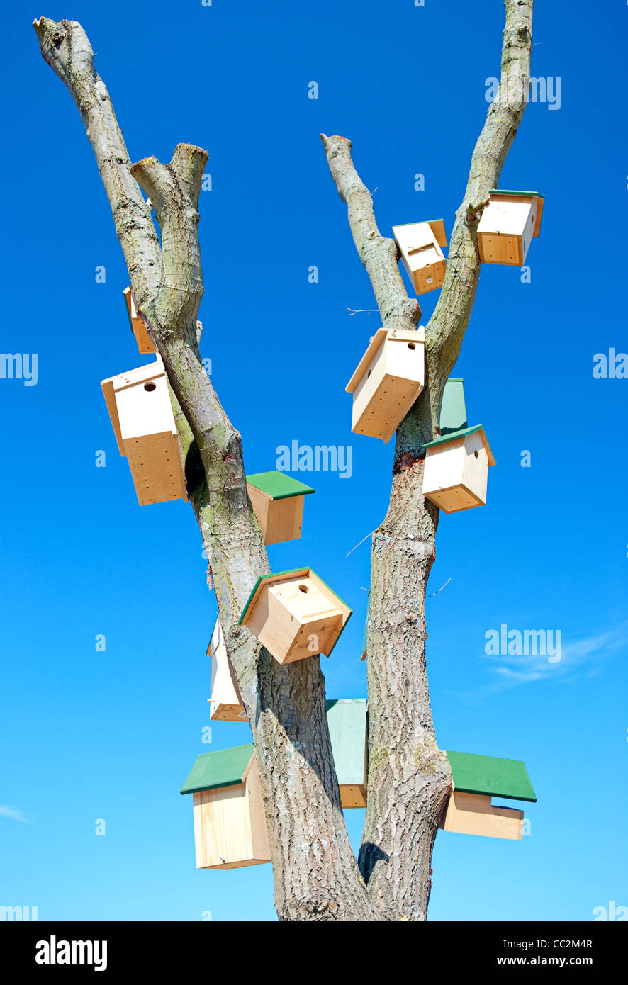 Tree with multiple bird houses Stock Photo