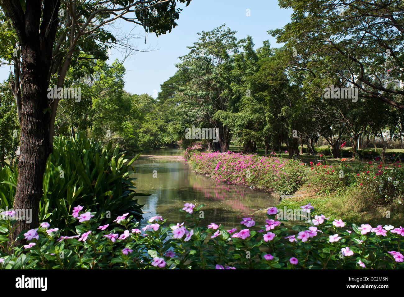 Flowers and trees in national park with clear sky Stock Photo - Alamy
