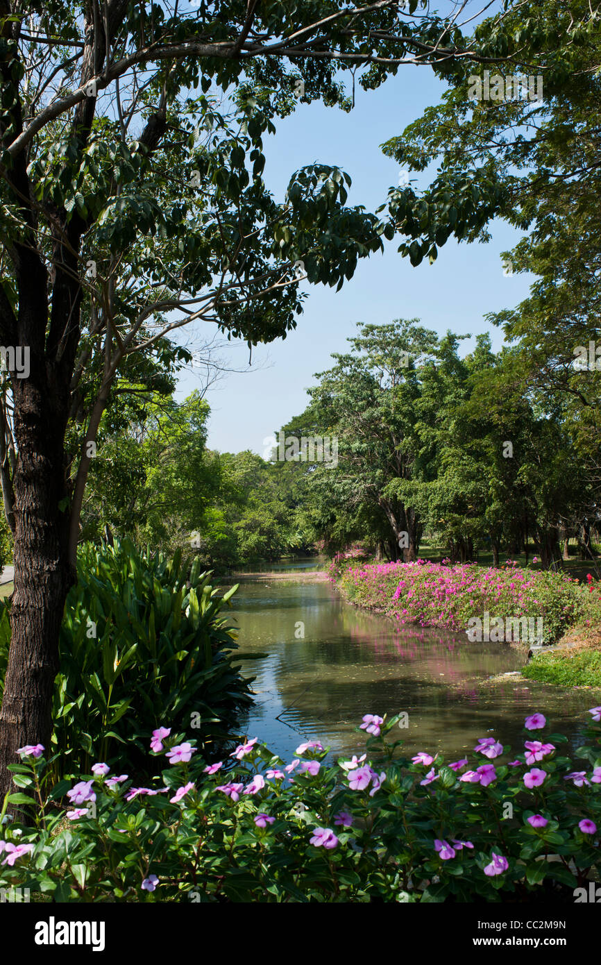 Flowers and trees in national park with clear sky Stock Photo - Alamy