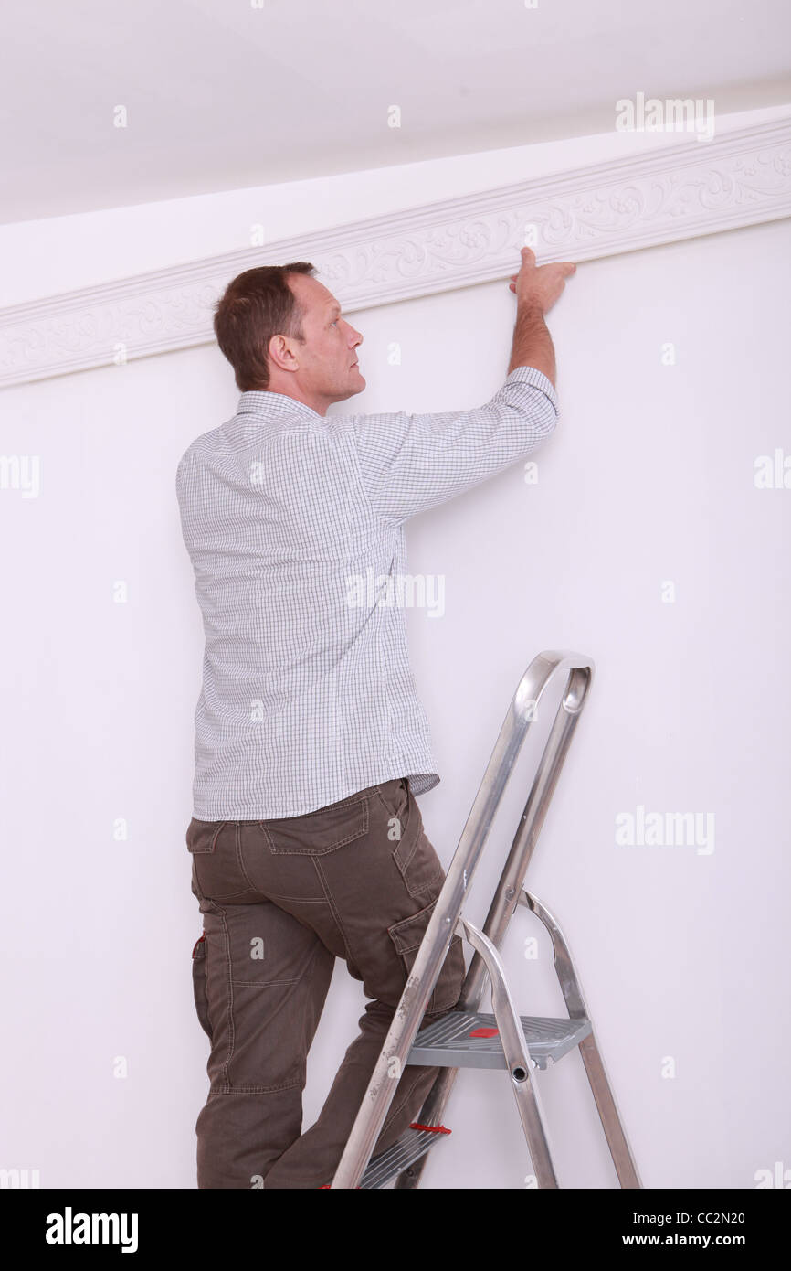 Decorator Fitting Coving To A Ceiling Stock Photo 41857032 Alamy