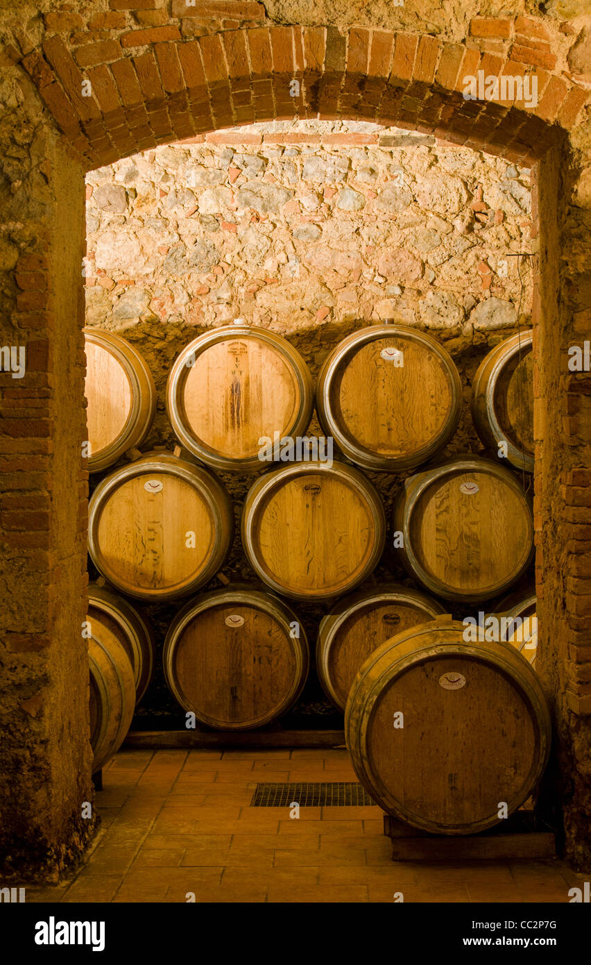 Wine Aging in Oak Barrels at Cellar in Chianti, Tuscany (Toscana