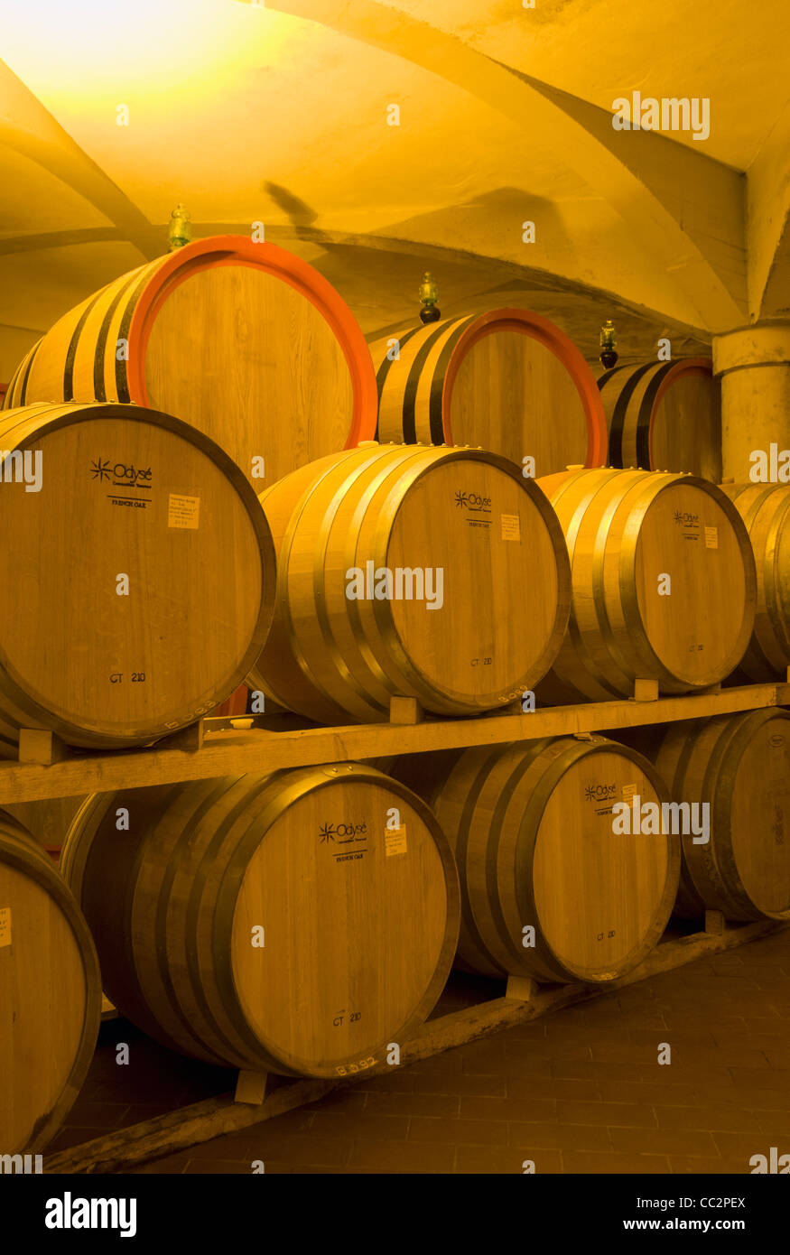 Wine Aging in Oak Barrels at Vaulted Cellar in Montalcino, Tuscany