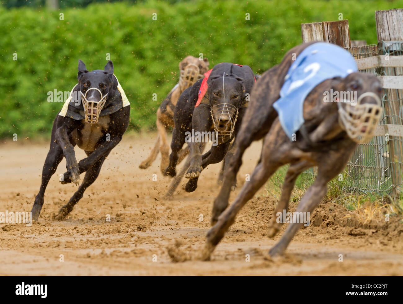 Rennbahnen hires stock photography and images Alamy