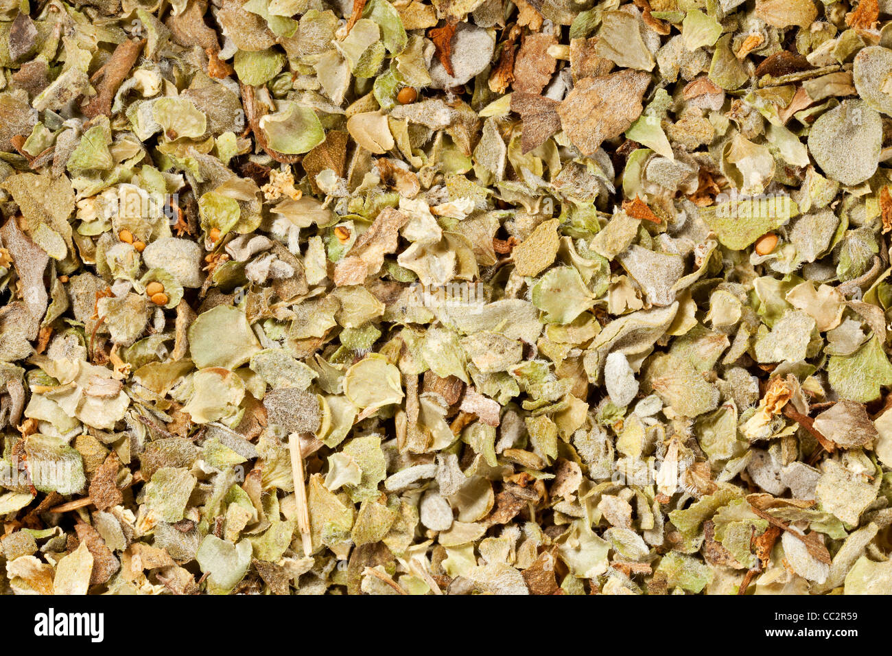 background of marjoram herb seasoning at lifesize magnification Stock
