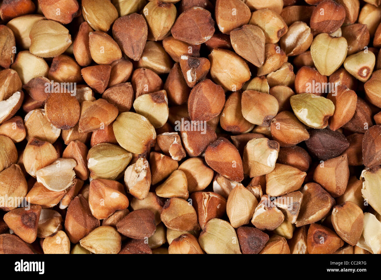 life-size macro of buckwheat kasha roasted whole grain Stock Photo