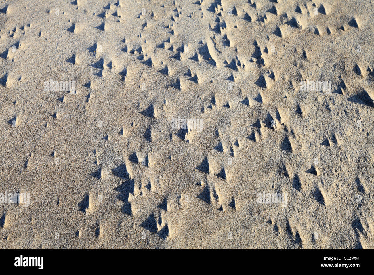 Patterns in sand, Bamburgh beach north east England UK Stock Photo