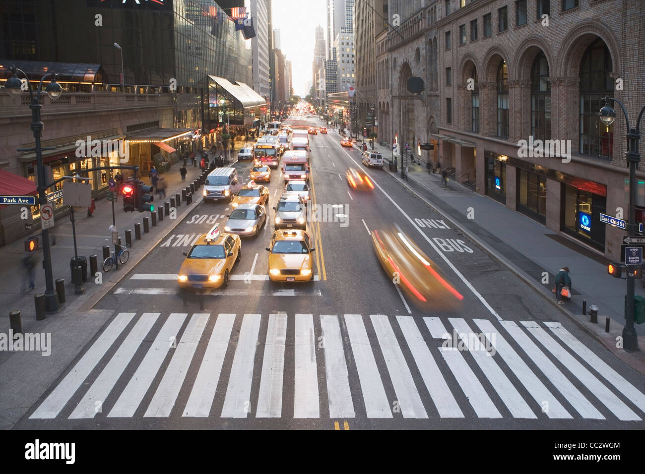 USA, New York City, Manhattan, Traffic stopped at zebra crossing on 42nd street Stock Photo