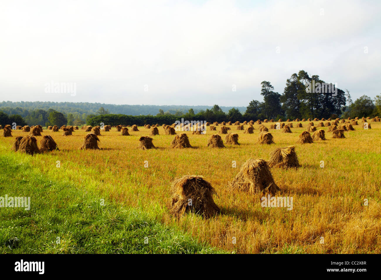 Field of haystacks hi-res stock photography and images - Alamy