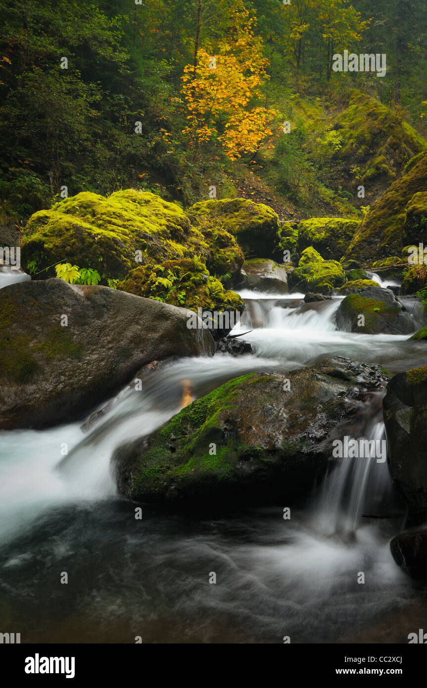 USA, Oregon, Eagle Creek Stock Photo Alamy