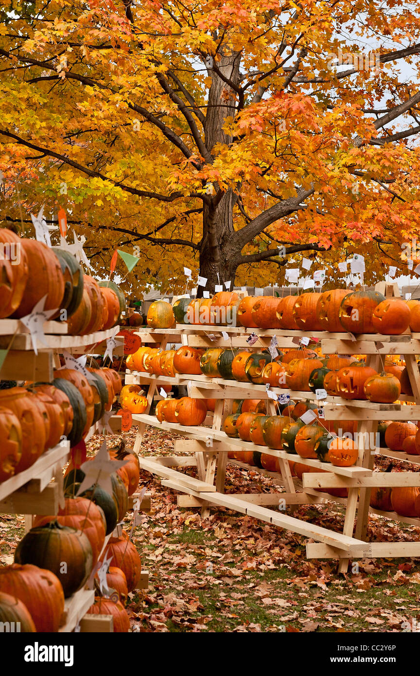 New hampshire pumpkin festival hires stock photography and images Alamy