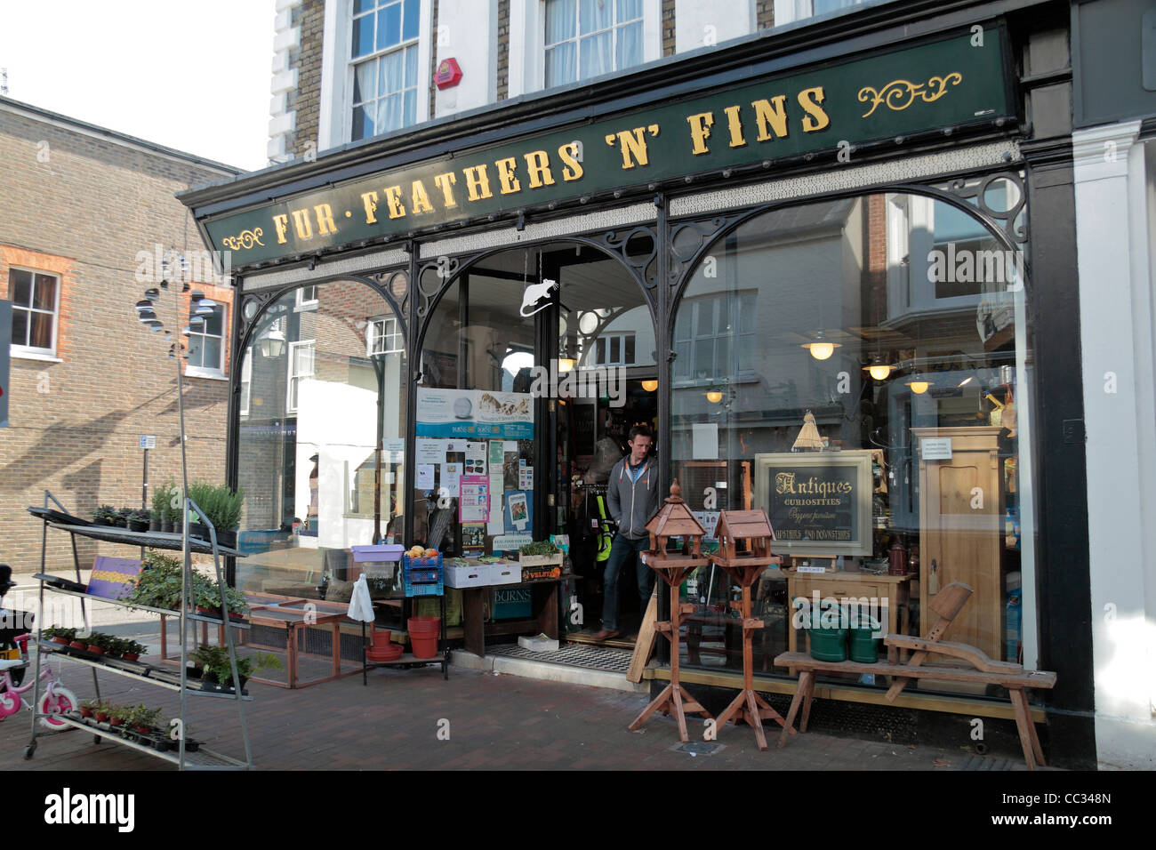 'Fur Feathers 'N' Fins' antique shop on Cliffe High Street, Lewes, East Sussex, UK. Stock Photo