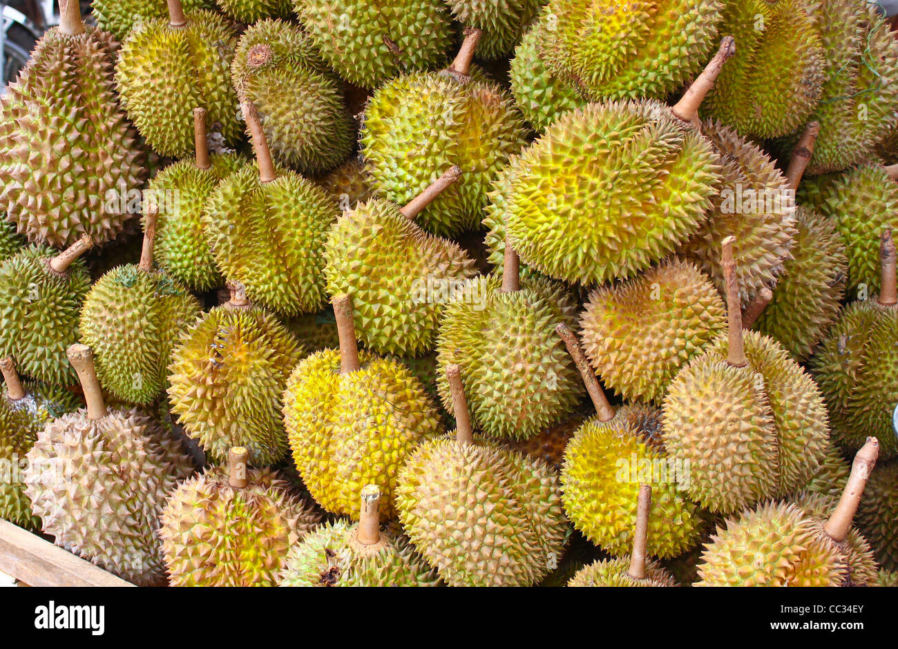 Durian spikes hi-res stock photography and images - Alamy