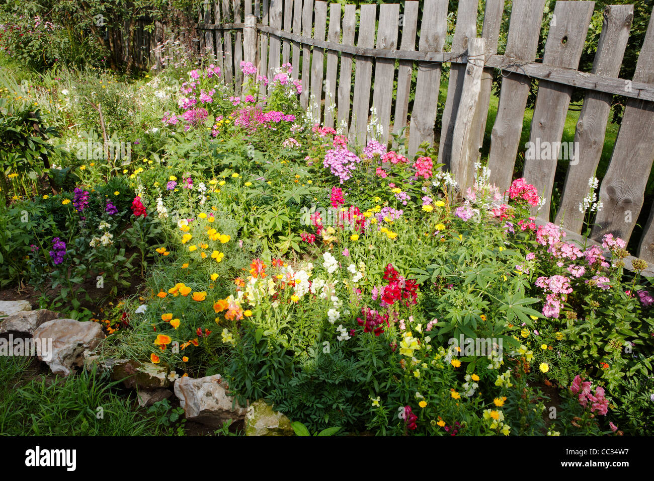 Flowerbed in the garden. Central Russia. Stock Photo