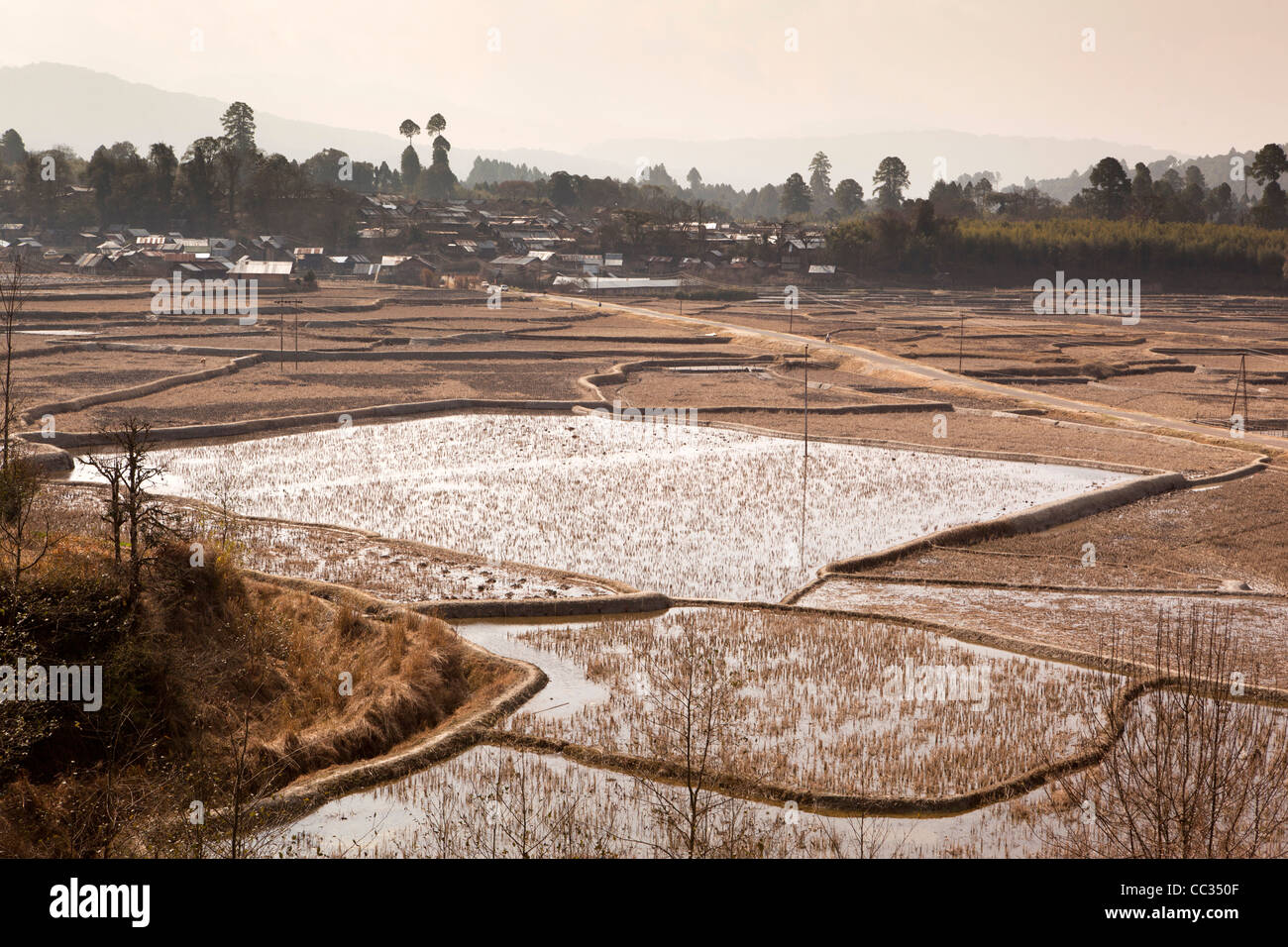India, Arunachal Pradesh, Ziro Valley, Hong Village from Bulla across