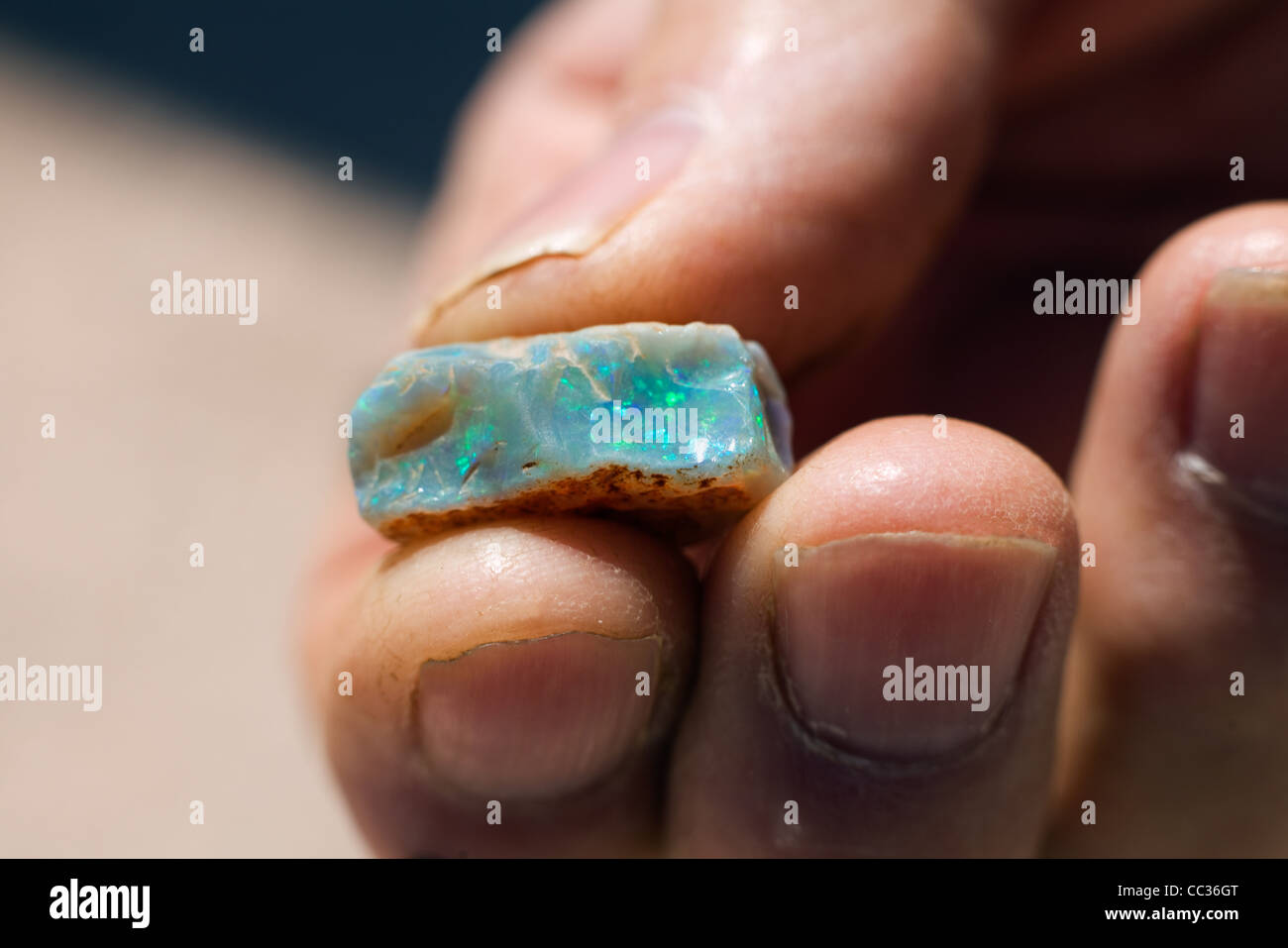 A miner holds a piece of opal.  Coober Pedy, South Australia, Australia Stock Photo