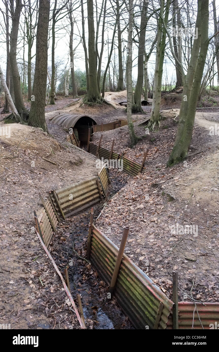 Trenches, Sanctuary Wood, Ypres, Belgium Stock Photo