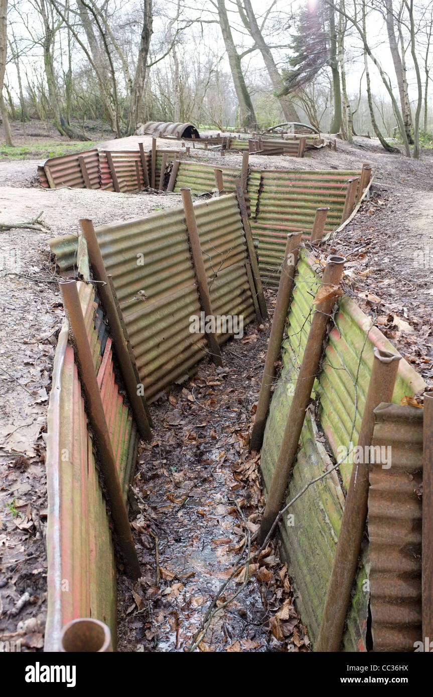 Trenches, Sanctuary Wood, Ypres, Belgium Stock Photo