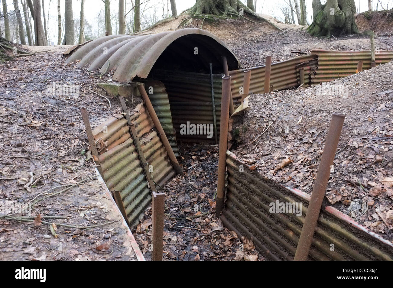 Trenches, Sanctuary Wood, Ypres, Belgium Stock Photo