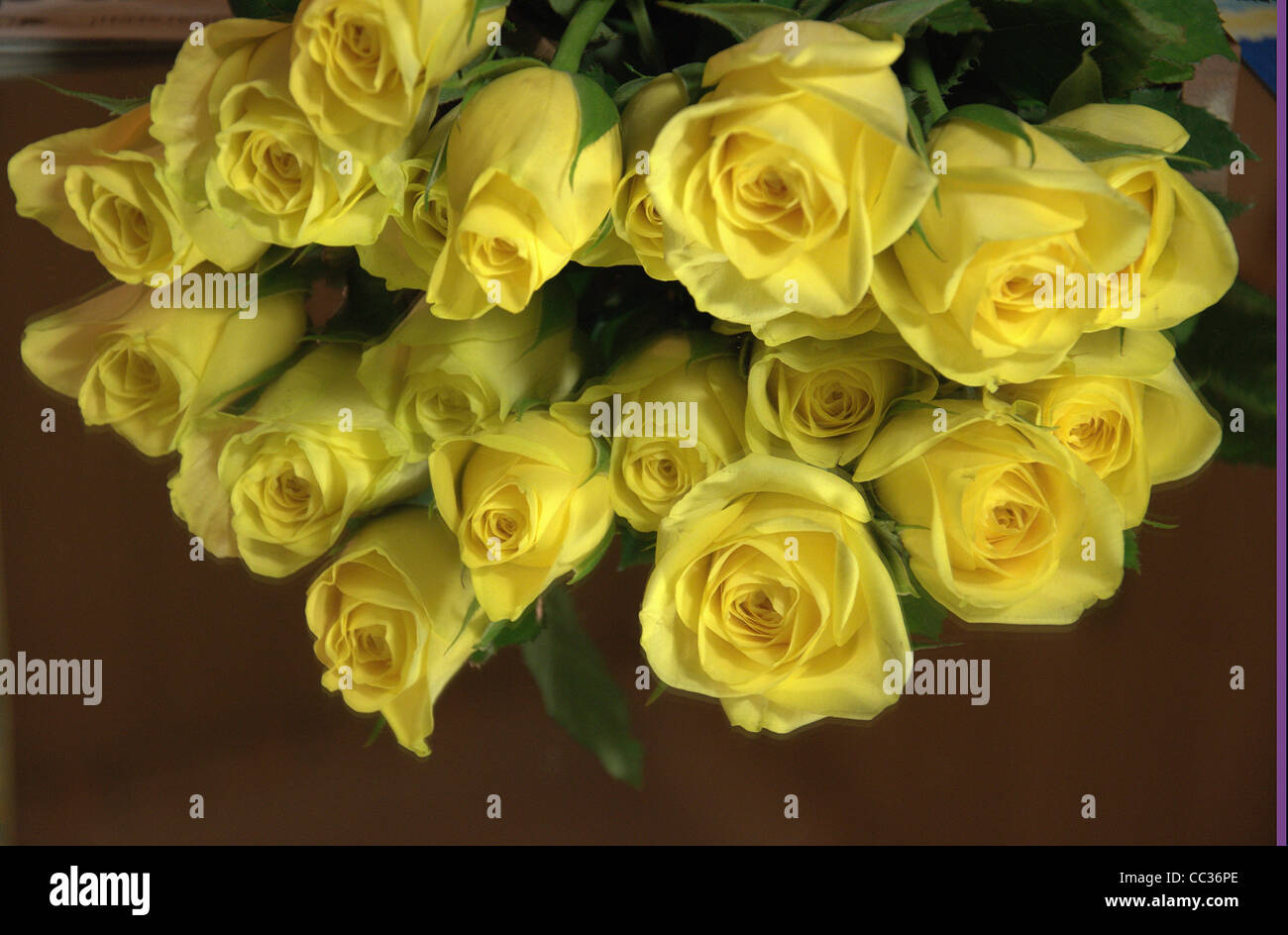 Yellow roses on mirror Stock Photo - Alamy
