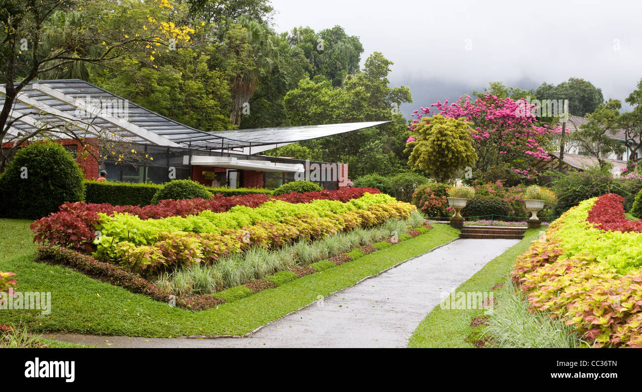 Path to the Orchid House at Peradeniya Botanic Gardens, Kandy, Sri Lanka Stock Photo