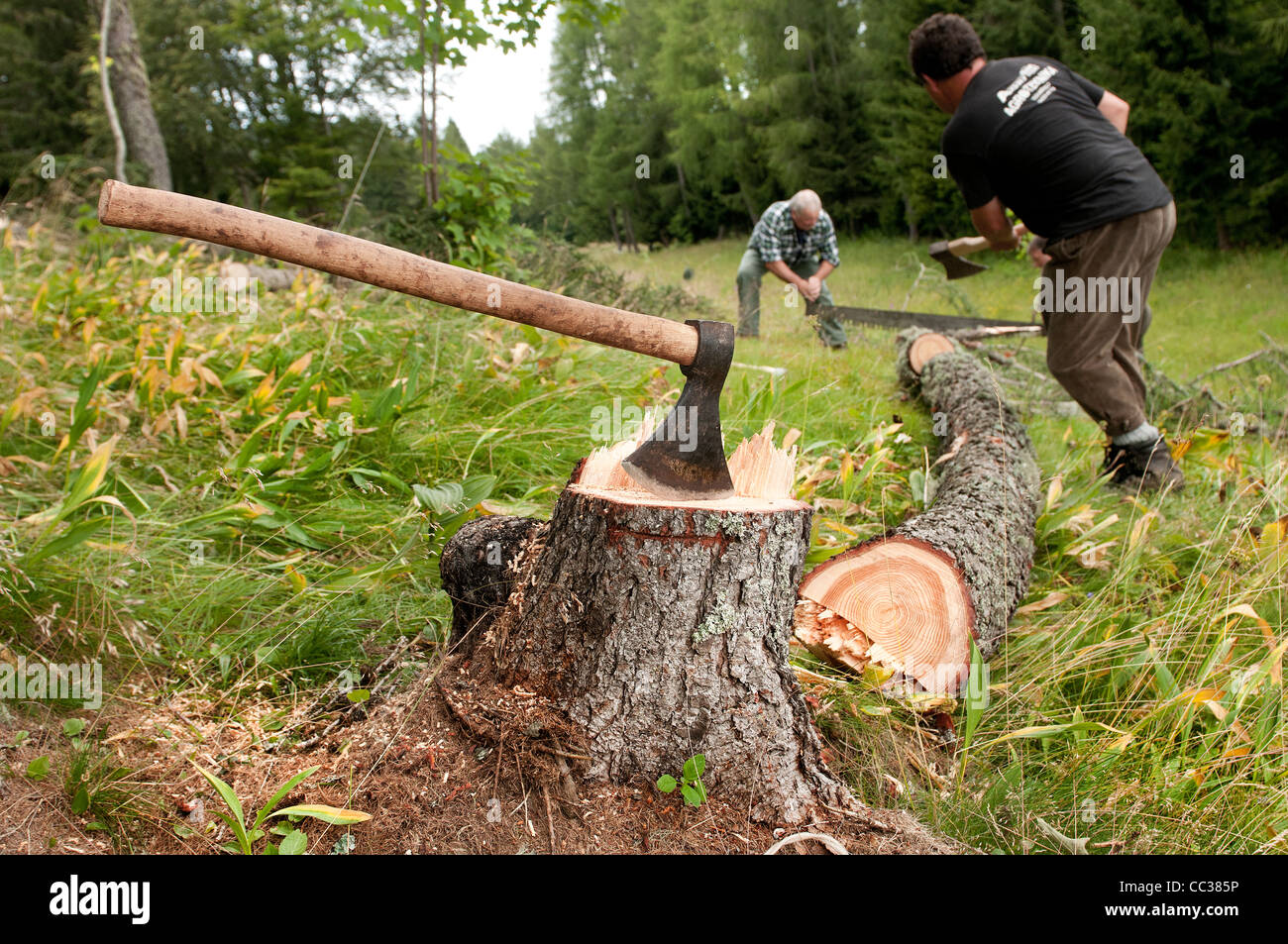 Lumberjacks High Resolution Stock Photography and Images Alamy