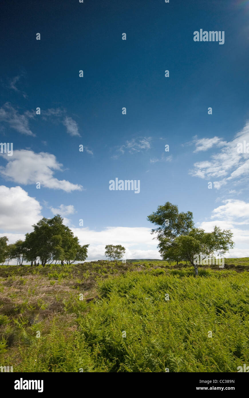 Derbyshire Landscape Scenery at Curbar Edge in the Peak District National Park Stock Photo