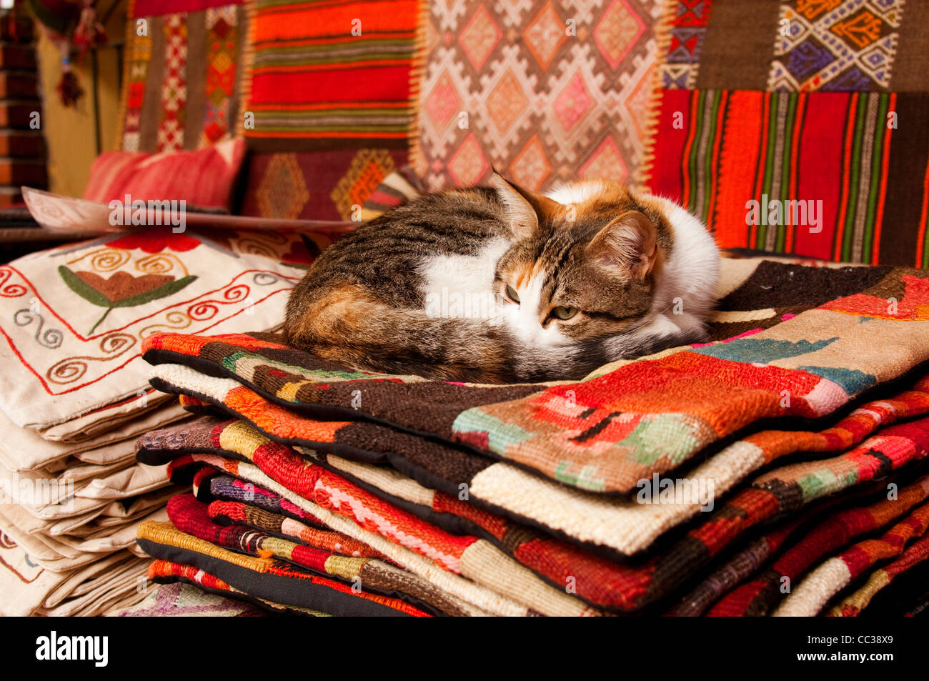 Cat Lounging On A Pile Of Woven Blankets Istanbul Turkey Stock Photo Alamy