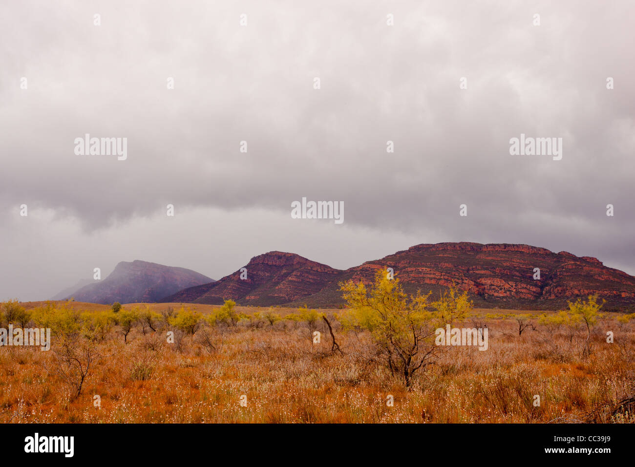 Storm clouds over Mount Ohlssen Bagge at Wilpena Pound in the Flinders Ranges in outback South Australia, Australia Stock Photo