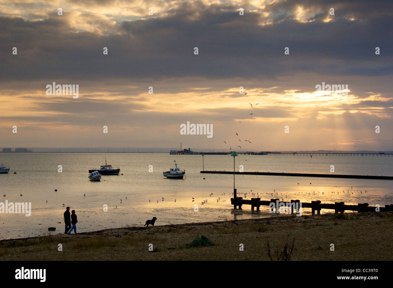 The beach at Shoeburyness, Southend, Essex Stock Photo Alamy