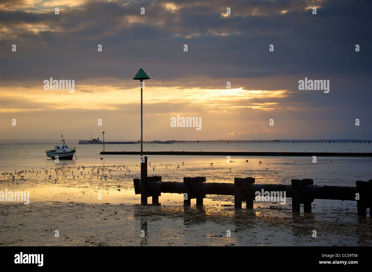 The beach at Shoeburyness, Southend, Essex Stock Photo Alamy