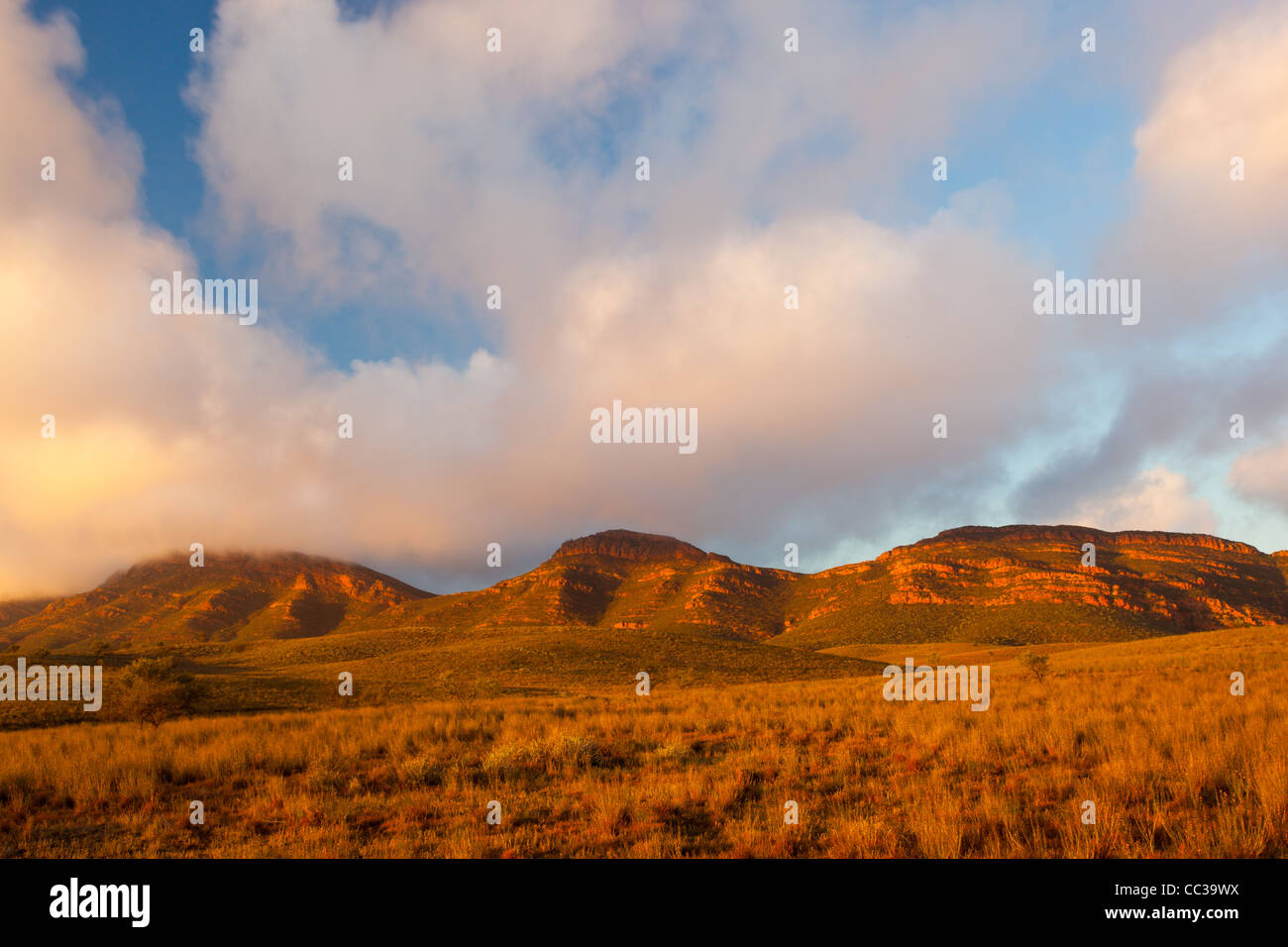 Sunrise over Mount Ohlssen Bagge at Wilpena Pound in the Flinders Ranges in outback South Australia Stock Photo