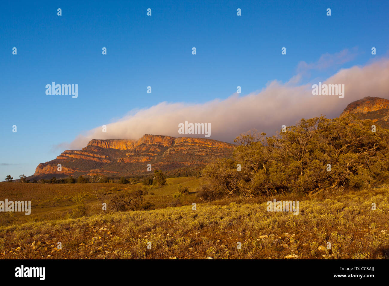 Early morning view of Rawnsley Bluff and Wilpena Pound in the Flinders Ranges in outback South Australia, Australia Stock Photo