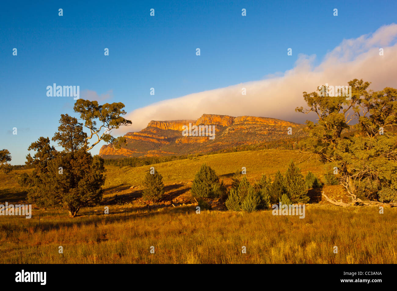 Early morning view of Rawnsley Bluff in the Flinders Ranges in outback South Australia, Australia Stock Photo