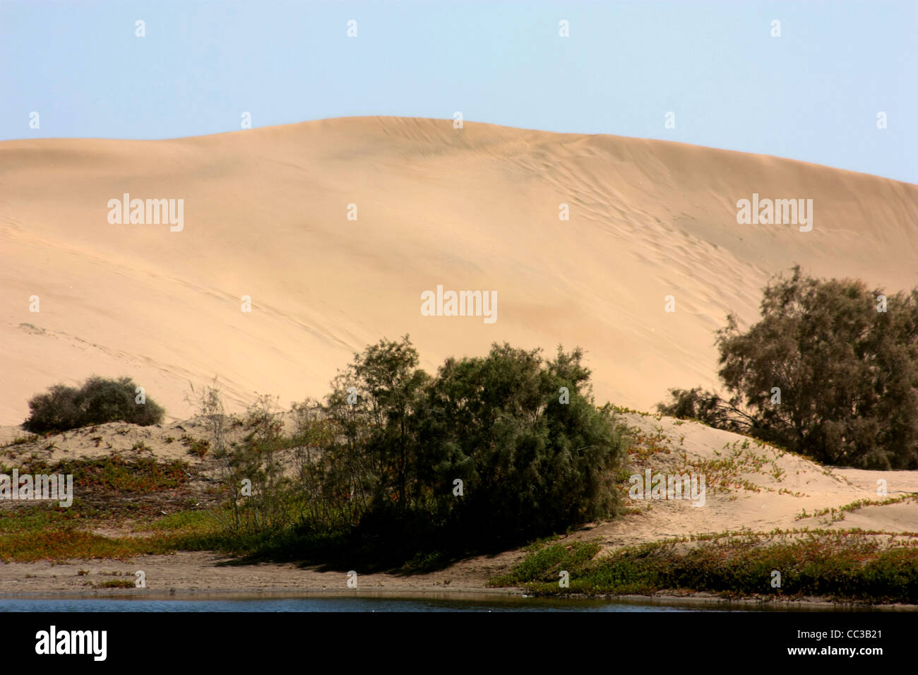 Dunes in the nature preserve of Maspalomas in Gran Canaria Stock Photo