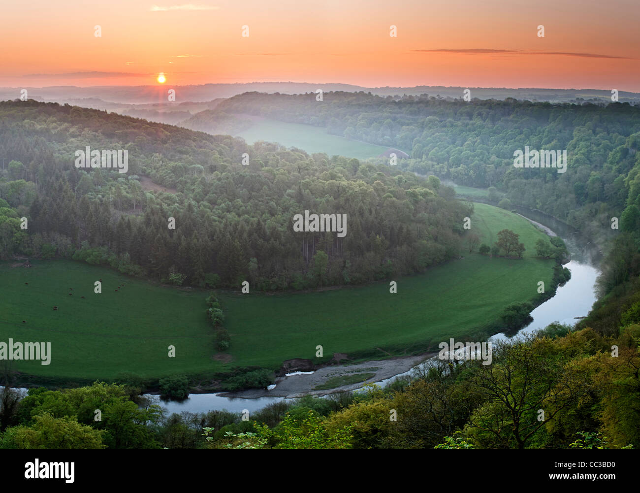 Wye Valley view from Symonds Yat at dawn Stock Photo